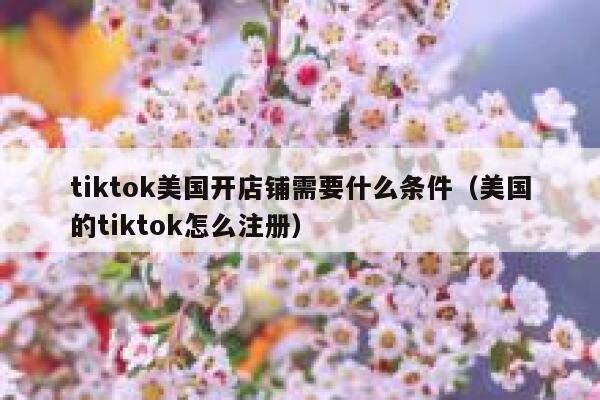 tiktok美国开店铺需要什么条件（美国的tiktok怎么注册） 第1张