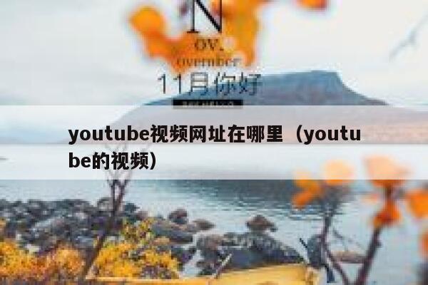 youtube视频网址在哪里（youtube的视频） 第1张