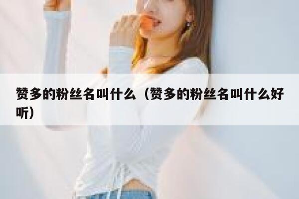 赞多的粉丝名叫什么（赞多的粉丝名叫什么好听） 第1张