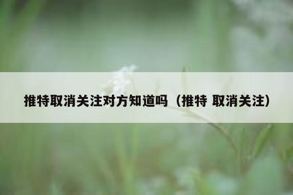 推特取消关注对方知道吗（推特 取消关注） 第1张