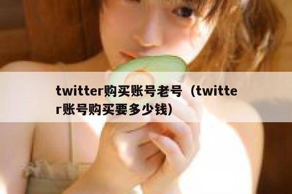 twitter购买账号老号（twitter账号购买要多少钱） 第1张