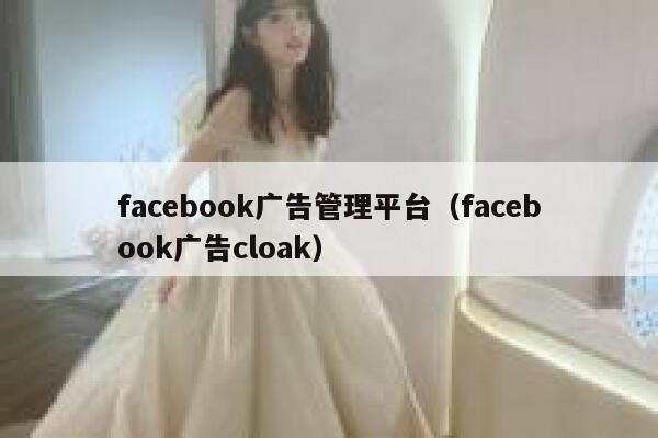 facebook广告管理平台（facebook广告cloak） 第1张