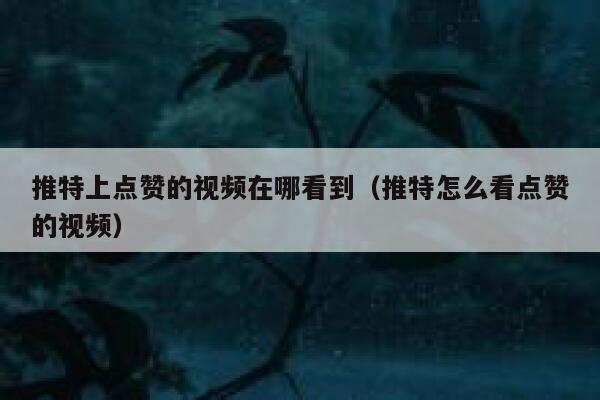 推特上点赞的视频在哪看到（推特怎么看点赞的视频） 第1张