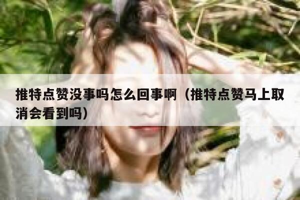 推特点赞没事吗怎么回事啊（推特点赞马上取消会看到吗） 第1张