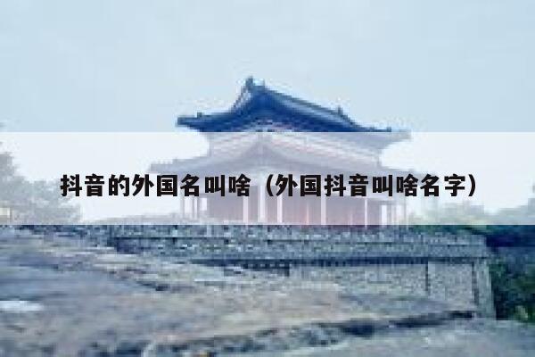 抖音的外国名叫啥（外国抖音叫啥名字） 第1张