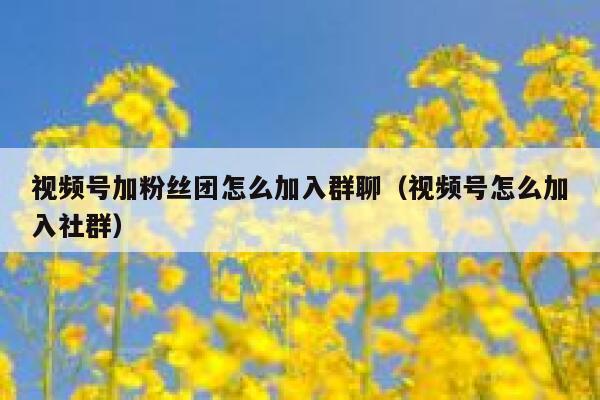 视频号加粉丝团怎么加入群聊（视频号怎么加入社群） 第1张
