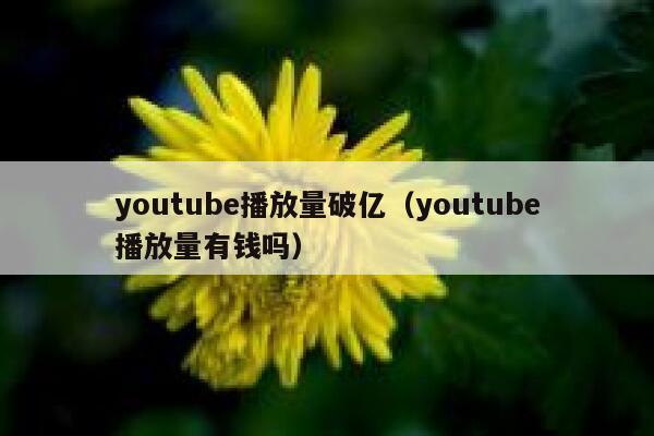 youtube播放量破亿（youtube播放量有钱吗） 第1张