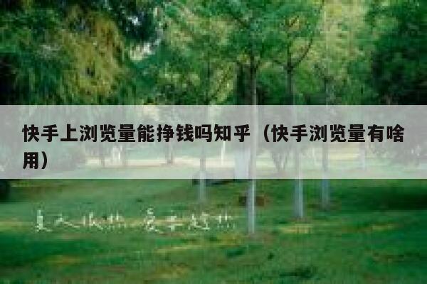 快手上浏览量能挣钱吗知乎（快手浏览量有啥用） 第1张