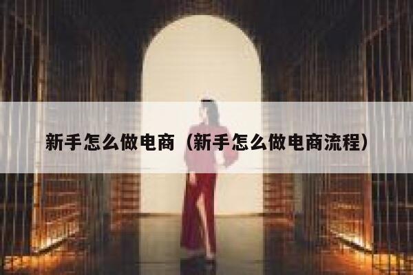 新手怎么做电商（新手怎么做电商流程） 第1张
