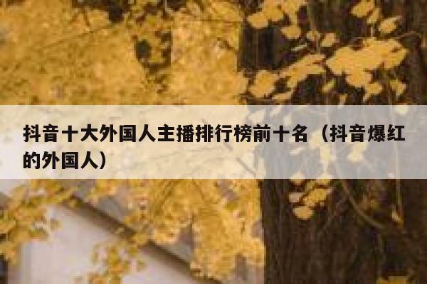 抖音十大外国人主播排行榜前十名（抖音爆红的外国人） 第1张