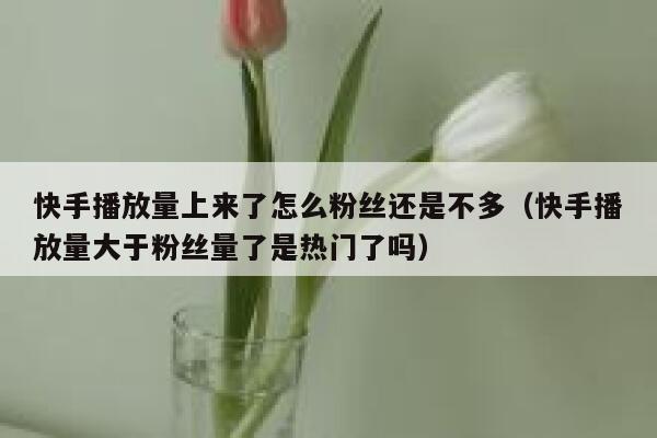 快手播放量上来了怎么粉丝还是不多（快手播放量大于粉丝量了是热门了吗） 第1张