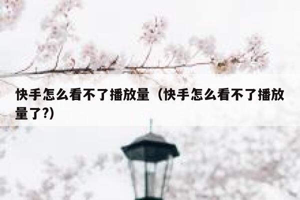 快手怎么看不了播放量（快手怎么看不了播放量了?） 第1张