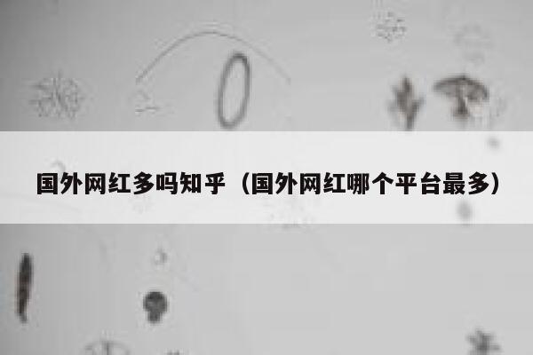 国外网红多吗知乎（国外网红哪个平台最多） 第1张