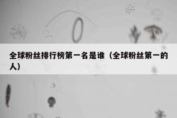 全球粉丝排行榜第一名是谁（全球粉丝第一的人） 第1张