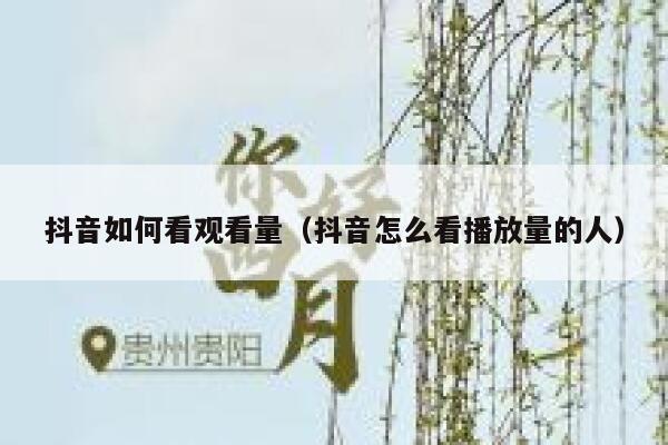 抖音如何看观看量（抖音怎么看播放量的人） 第1张