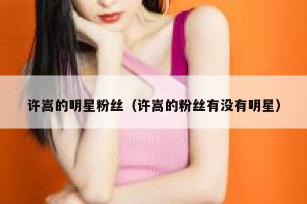 许嵩的明星粉丝（许嵩的粉丝有没有明星） 第1张