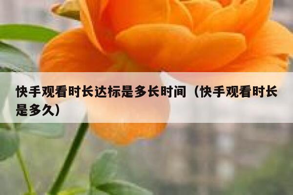 快手观看时长达标是多长时间（快手观看时长是多久） 第1张