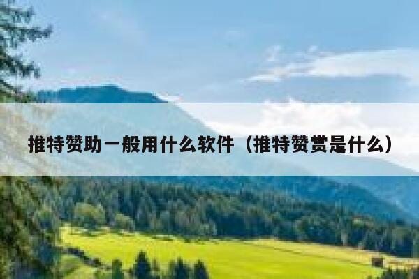 推特赞助一般用什么软件（推特赞赏是什么） 第1张