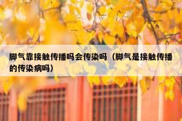 脚气靠接触传播吗会传染吗（脚气是接触传播的传染病吗） 第1张