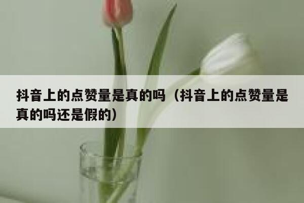 抖音上的点赞量是真的吗（抖音上的点赞量是真的吗还是假的） 第1张