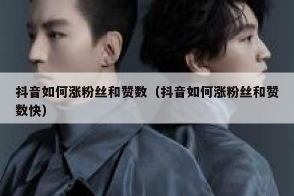 抖音如何涨粉丝和赞数（抖音如何涨粉丝和赞数快） 第1张