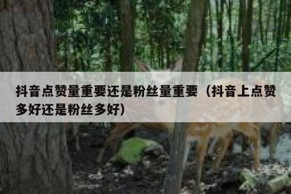 抖音点赞量重要还是粉丝量重要（抖音上点赞多好还是粉丝多好） 第1张