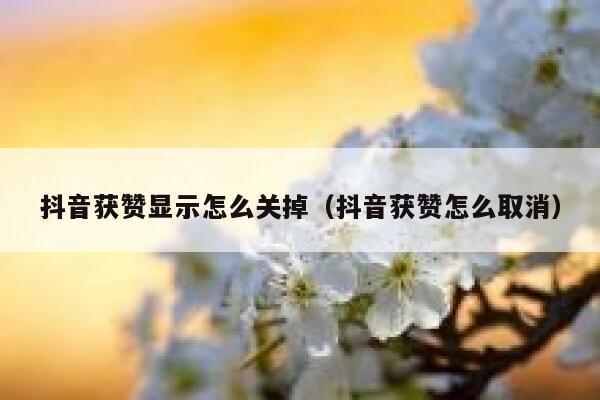 抖音获赞显示怎么关掉（抖音获赞怎么取消） 第1张