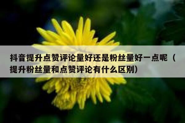 抖音提升点赞评论量好还是粉丝量好一点呢（提升粉丝量和点赞评论有什么区别） 第1张