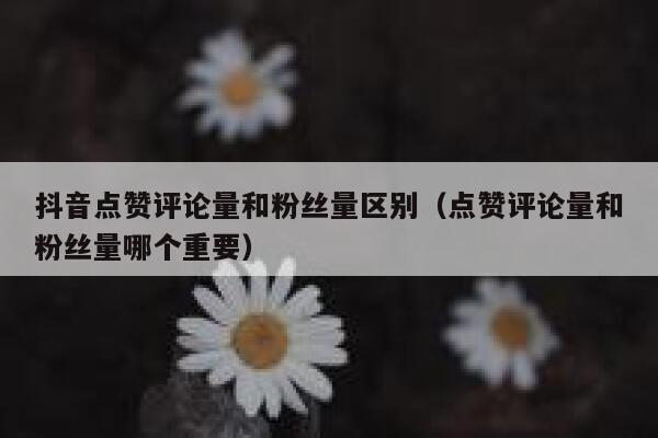 抖音点赞评论量和粉丝量区别（点赞评论量和粉丝量哪个重要） 第1张