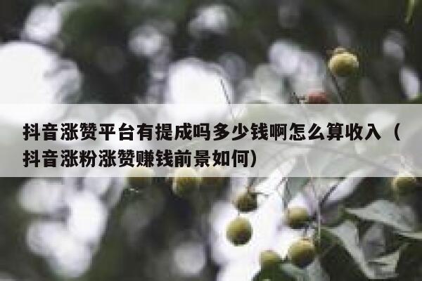 抖音涨赞平台有提成吗多少钱啊怎么算收入（抖音涨粉涨赞赚钱前景如何） 第1张