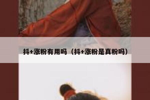 抖+涨粉有用吗（抖+涨粉是真粉吗） 第1张