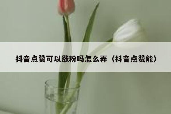 抖音点赞可以涨粉吗怎么弄（抖音点赞能） 第1张