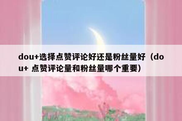 dou+选择点赞评论好还是粉丝量好（dou+ 点赞评论量和粉丝量哪个重要） 第1张