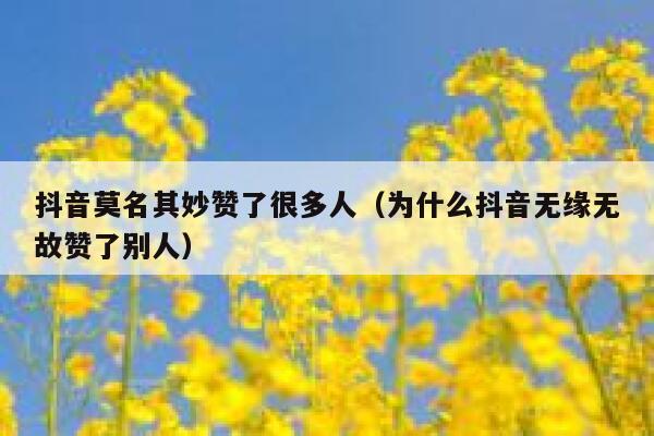抖音莫名其妙赞了很多人（为什么抖音无缘无故赞了别人） 第1张