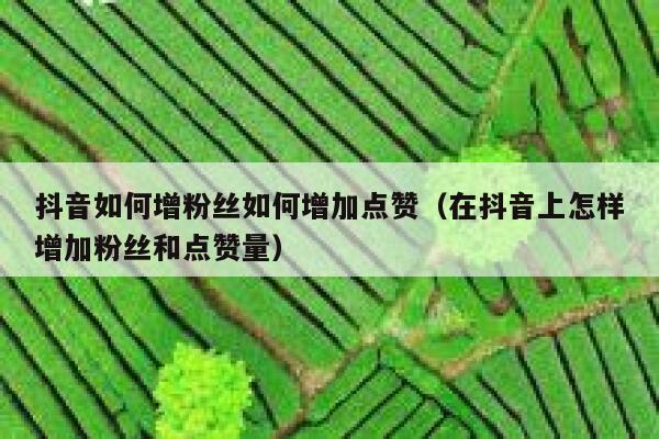 抖音如何增粉丝如何增加点赞（在抖音上怎样增加粉丝和点赞量） 第1张