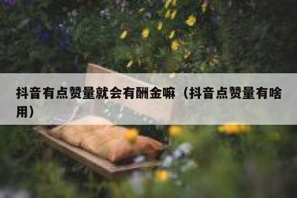 抖音有点赞量就会有酬金嘛（抖音点赞量有啥用） 第1张