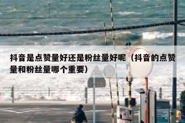抖音是点赞量好还是粉丝量好呢（抖音的点赞量和粉丝量哪个重要） 第1张