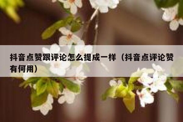 抖音点赞跟评论怎么提成一样（抖音点评论赞有何用） 第1张