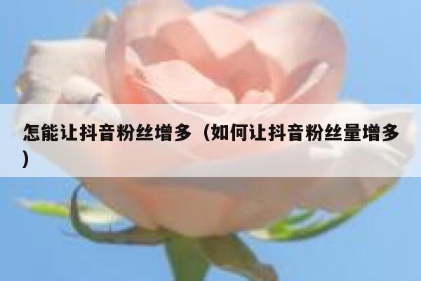 怎能让抖音粉丝增多（如何让抖音粉丝量增多） 第1张