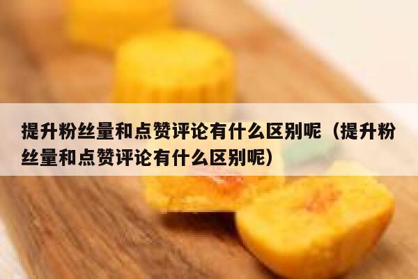 提升粉丝量和点赞评论有什么区别呢（提升粉丝量和点赞评论有什么区别呢） 第1张