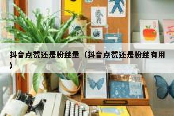 抖音点赞还是粉丝量（抖音点赞还是粉丝有用） 第1张