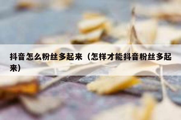 抖音怎么粉丝多起来（怎样才能抖音粉丝多起来） 第1张
