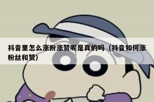 抖音里怎么涨粉涨赞呢是真的吗（抖音如何涨粉丝和赞） 第1张