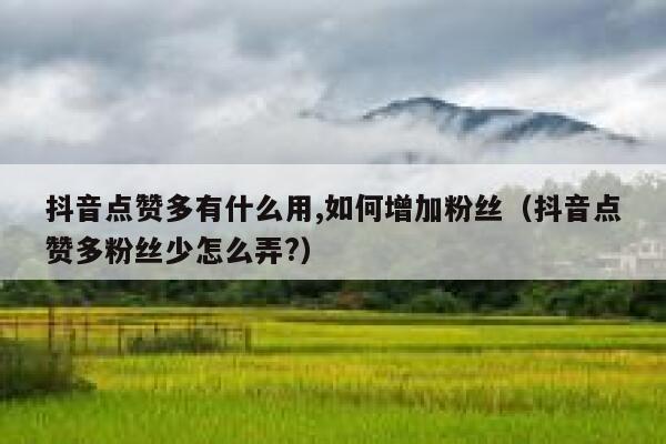抖音点赞多有什么用,如何增加粉丝（抖音点赞多粉丝少怎么弄?） 第1张