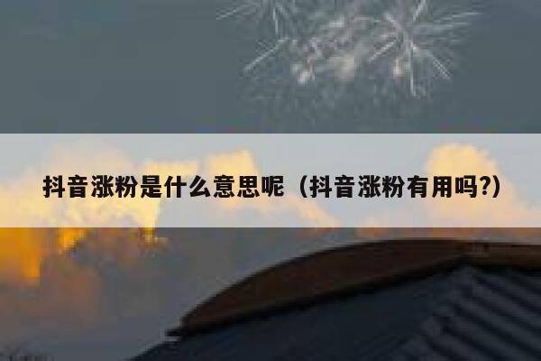 抖音涨粉是什么意思呢（抖音涨粉有用吗?） 第1张