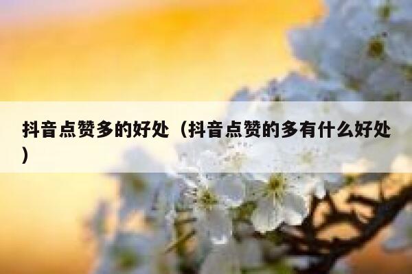 抖音点赞多的好处（抖音点赞的多有什么好处） 第1张