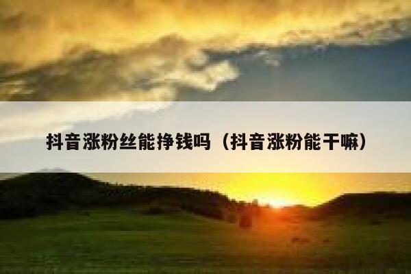 抖音涨粉丝能挣钱吗（抖音涨粉能干嘛） 第1张