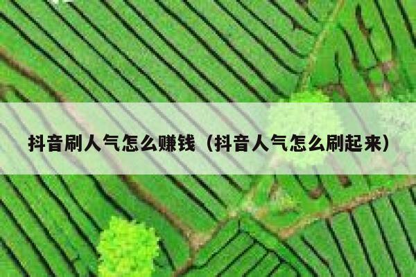 抖音刷人气怎么赚钱（抖音人气怎么刷起来） 第1张