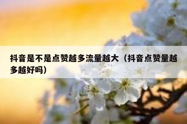 抖音是不是点赞越多流量越大（抖音点赞量越多越好吗） 第1张