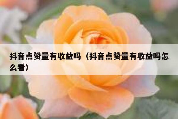 抖音点赞量有收益吗（抖音点赞量有收益吗怎么看） 第1张